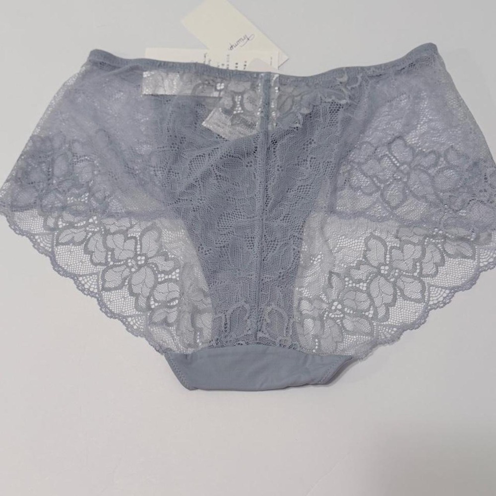Triumph Shape Smart Hipster Panties Lace Briefs Dusty Blue 10209566 EL/75 NEW